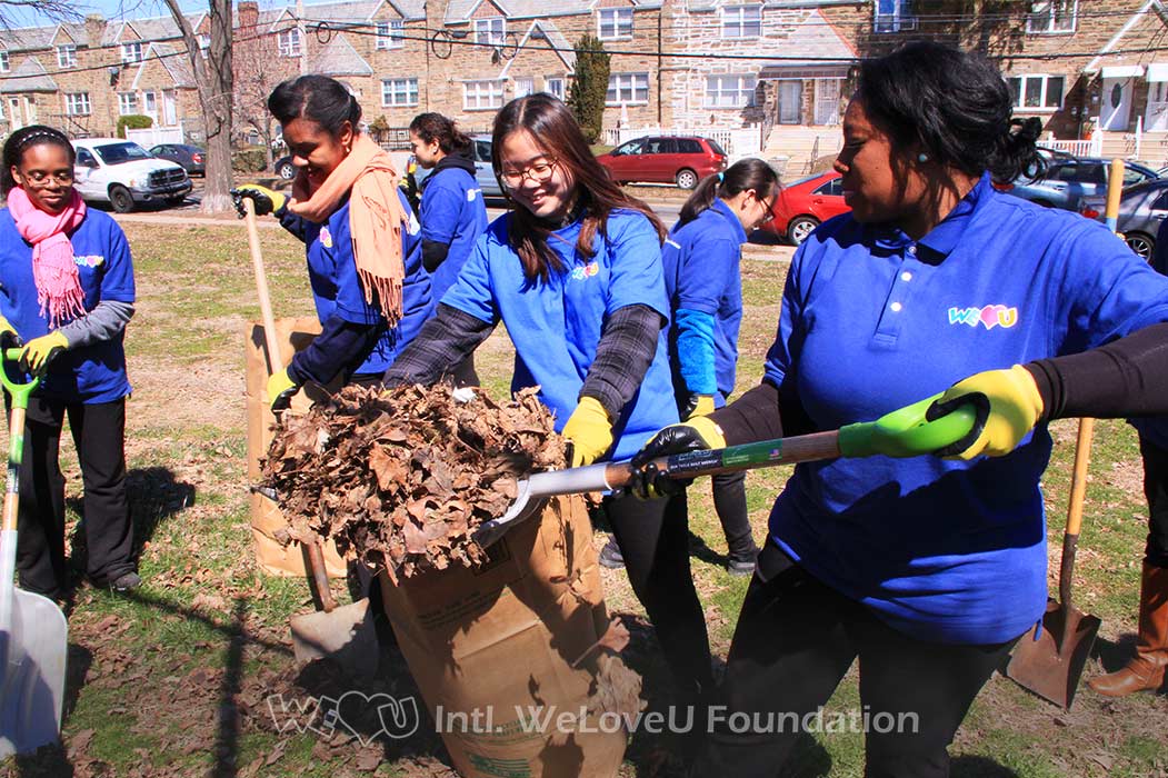 tarken park clean up