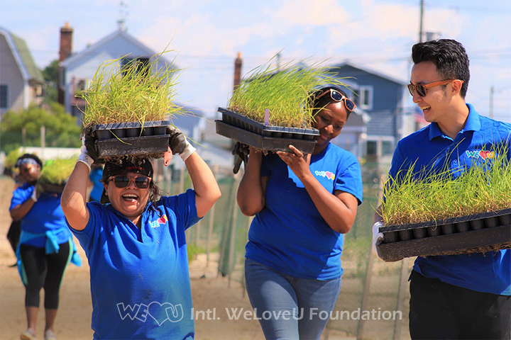 WeLoveU volunteers carrying cartridges of marsh plants.