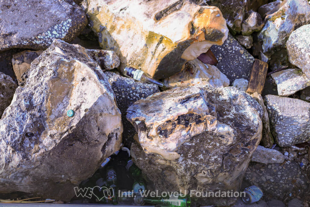 Glass bottles and cans are lodged between rocks in Tampa's Causeway